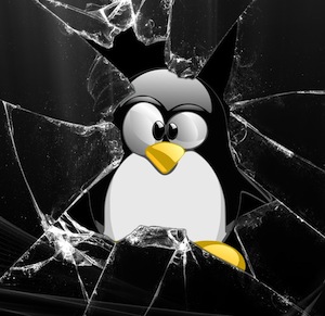 Grinch Bug is a vulernability in Linux